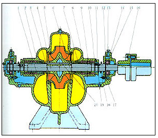單級雙吸離心泵結(jié)構(gòu)圖