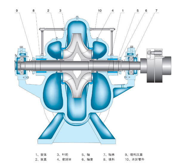節(jié)能蝸殼式中開泵結構圖片