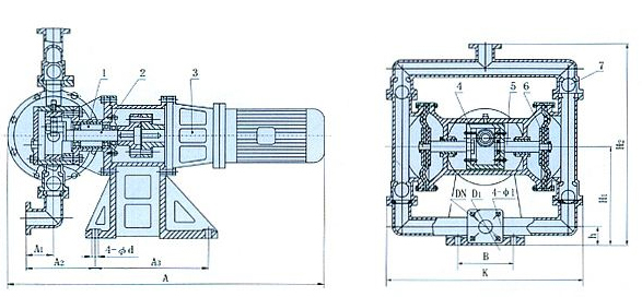 電動隔膜泵結構圖片