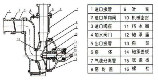 自吸式無阻塞排污泵結(jié)構(gòu)圖