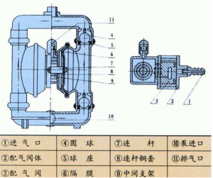 氣動隔膜泵結構圖