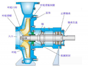 管道離心泵原理結構圖